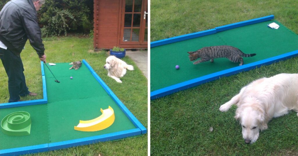 Detective pets from Right Angle Events enjoying portable crazy golf!