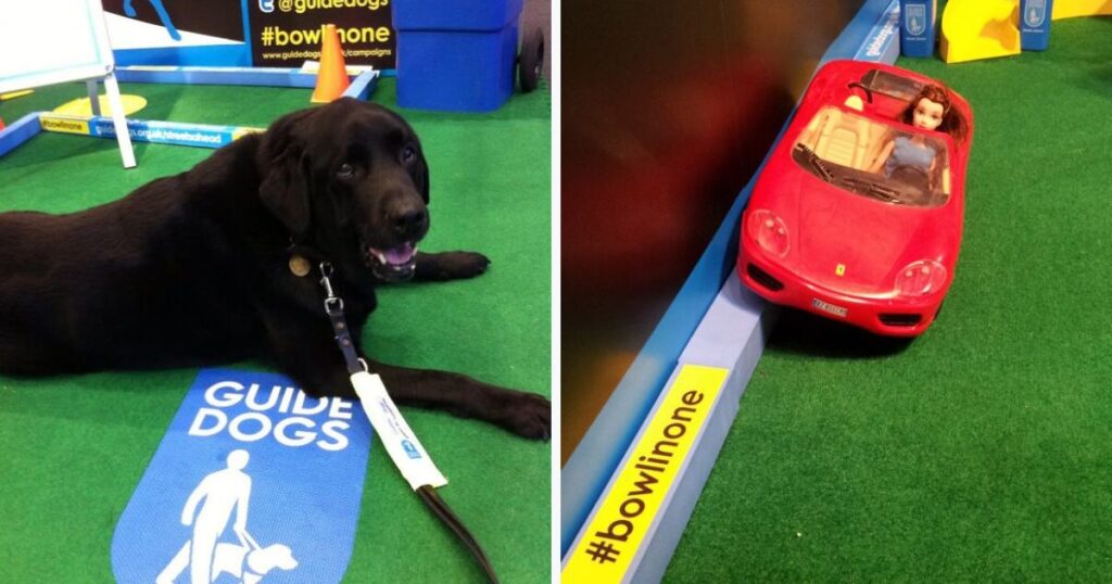 Charles the Guide Dog enjoys a spot of mini golf