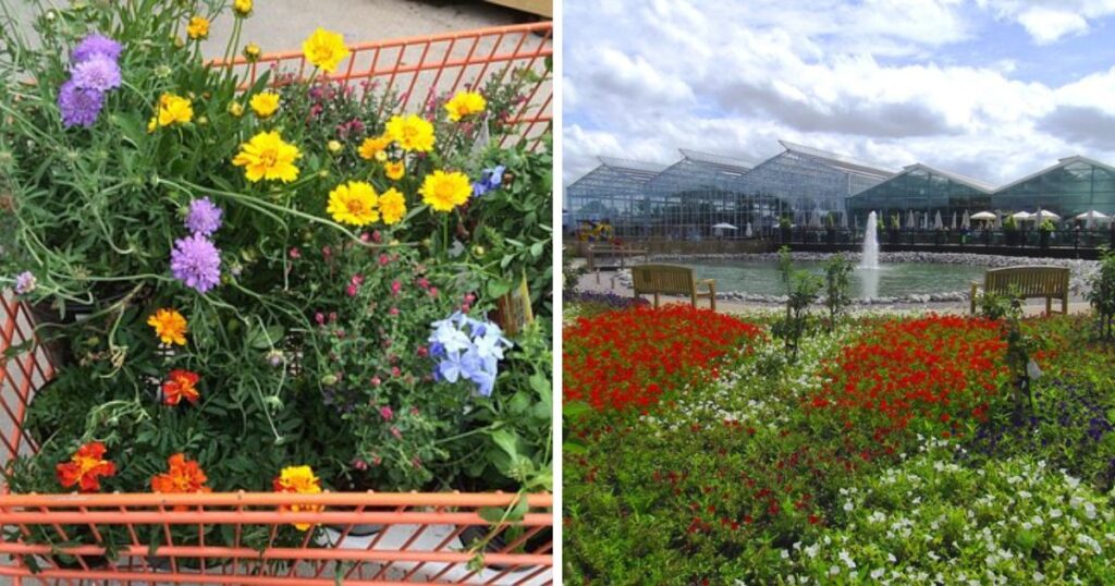 Crazy golf could be the perfect leisure attraction as garden centres aim to diversify